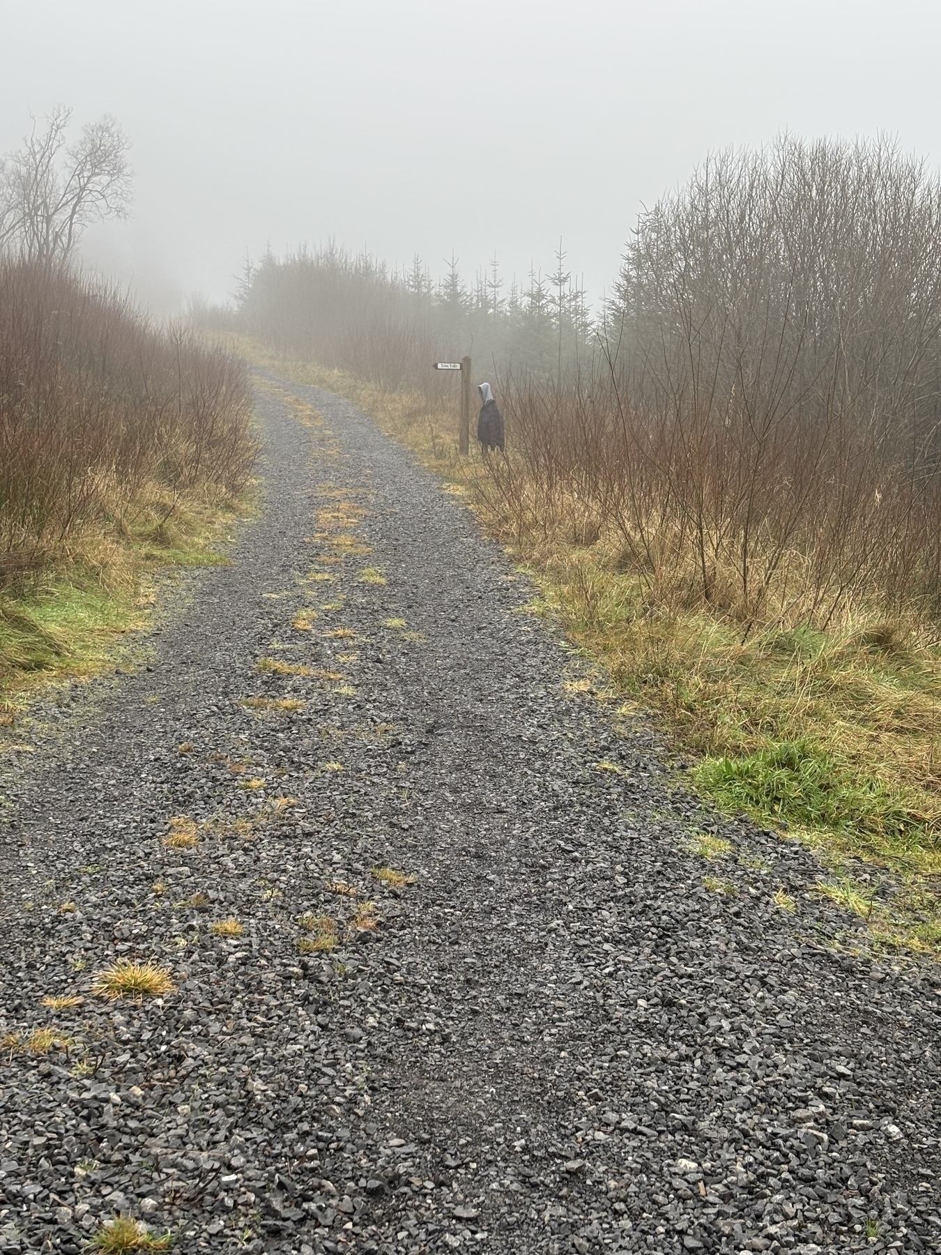 A misty path, with a figure lurking ominously. 