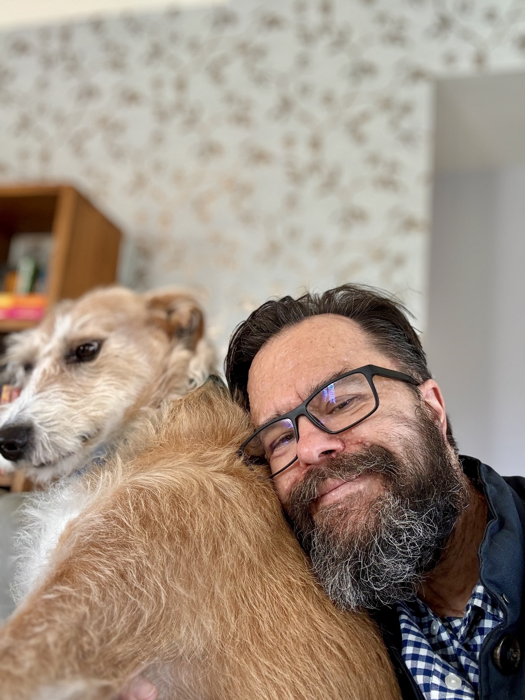 A hairy man hugs a lurcher in a needier manner. 